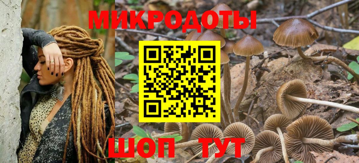 магазин  наркотиков  Псилоцибиновые грибы прущие грибы  Галлюциногенные грибы Magic Shrooms  Вход с VPN  Лосино-Петровский 